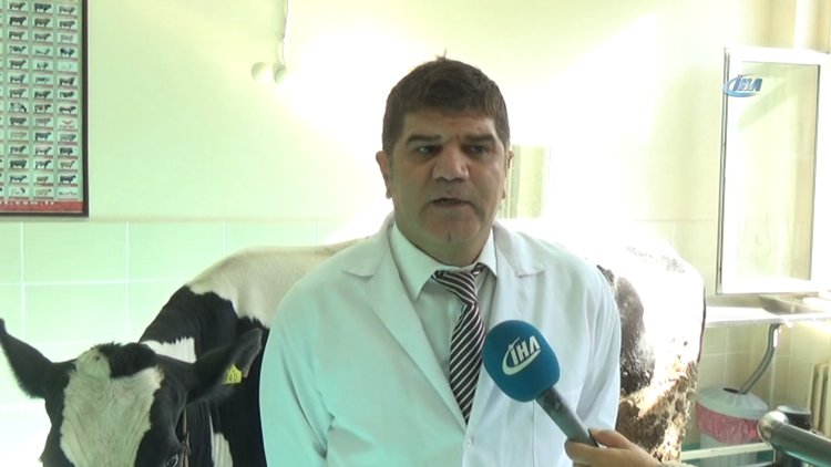 Kuduz vakalarının artışı korkutuyor