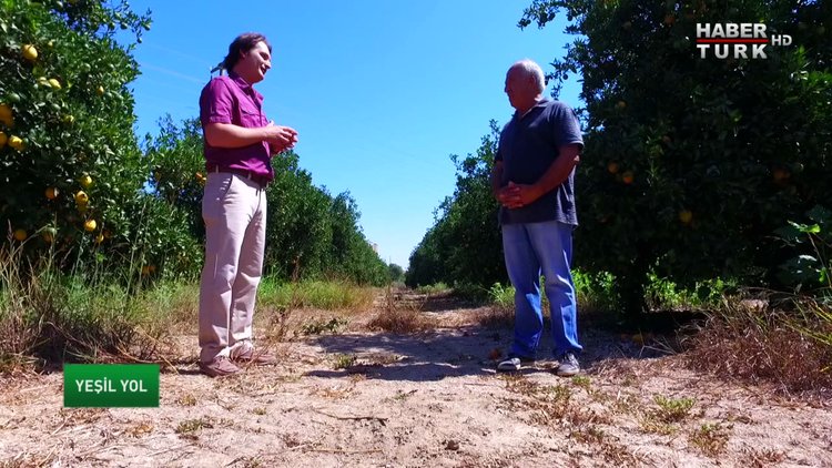 Yeşil Yol - 13 Kasım 2016