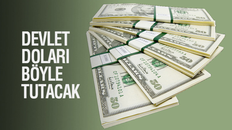 LİRA NASIL KURTULUR?