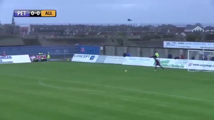 Topla kuş avlayan kaleci