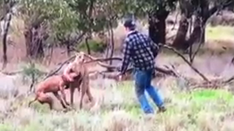 Bu yumruğu dünya izledi!