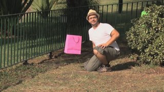 En tatlı hayvanlar en sevimli bebekler ve en eğlenceli şakalar 