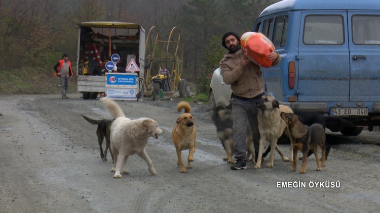 Emeğin Öyküsü - 21 Ocak Cumartesi 