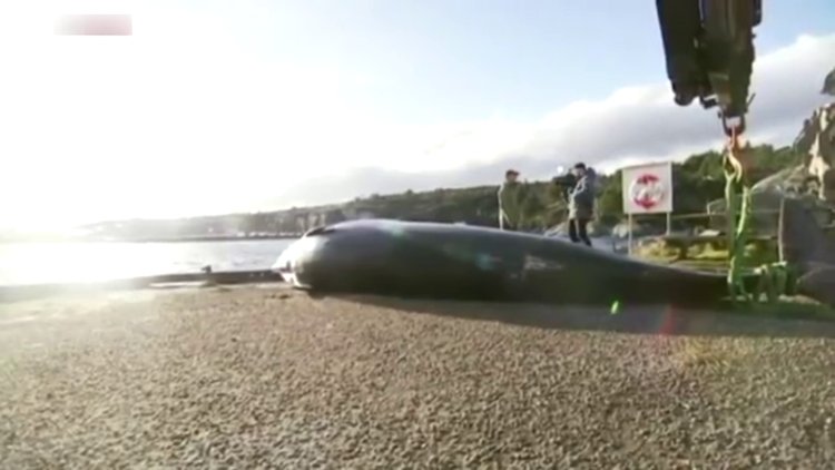 Midesinden çıkanlar şoke etti