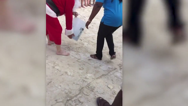 149 kaplumbağa özgürlüğe kavuştu