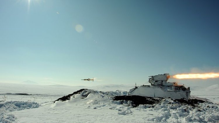 TSK kış tatbikatı yaptı