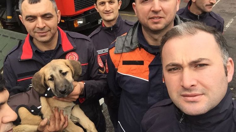 Kuyu köpek ve kurtarıcıları Haber Türk Tv stüdyolarında