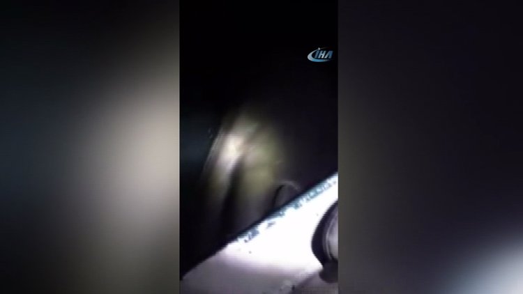 Akdeniz kıyılarında dev balina balıkçı teknesine çarptı