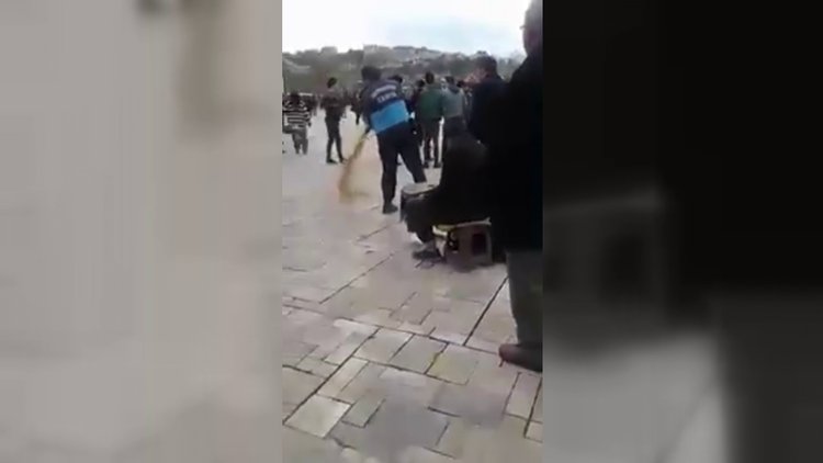 Zabıtalar yem satan yaşlı adamın buğdayını yere döktü