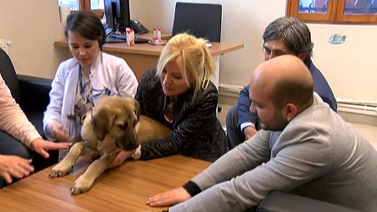 Kuyu köpeği Ömür Gedik sahiplendi