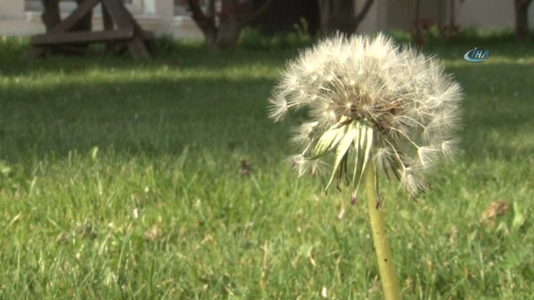 Gözle görmediğiniz tozlar sizi kör etmesin