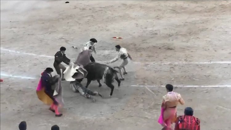 Matador boğayı böyle ezdi