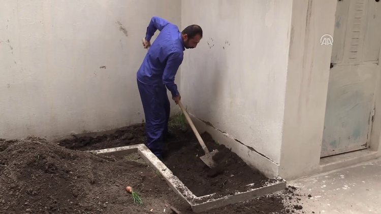 Apartmanın bahçesinde kemik parçaları bulundu