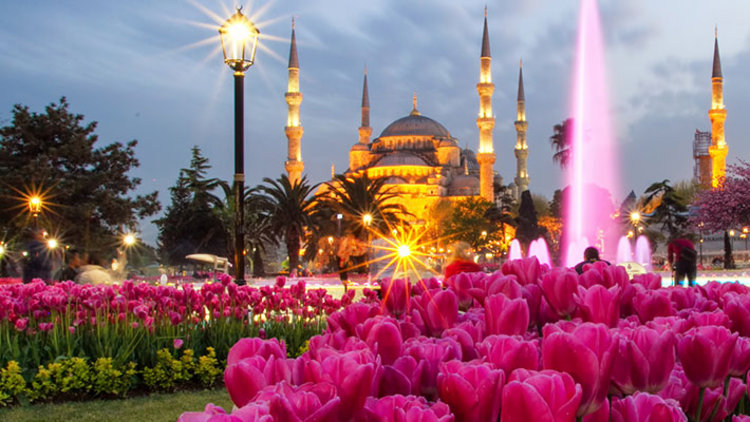 Lalenin 160 çeşidi