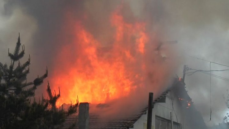 30 bin tavuk telef oldu