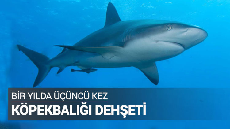 17 yaşındaki sörfçü öldü