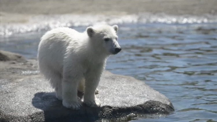 5 ay sonra görüntülendi