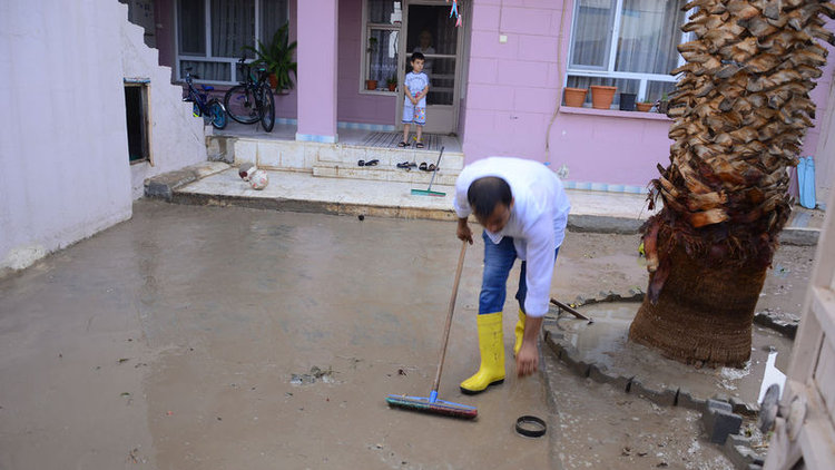 Ceylanpınar'da fırtına çatıları uçurdu, ağaçları devirdi