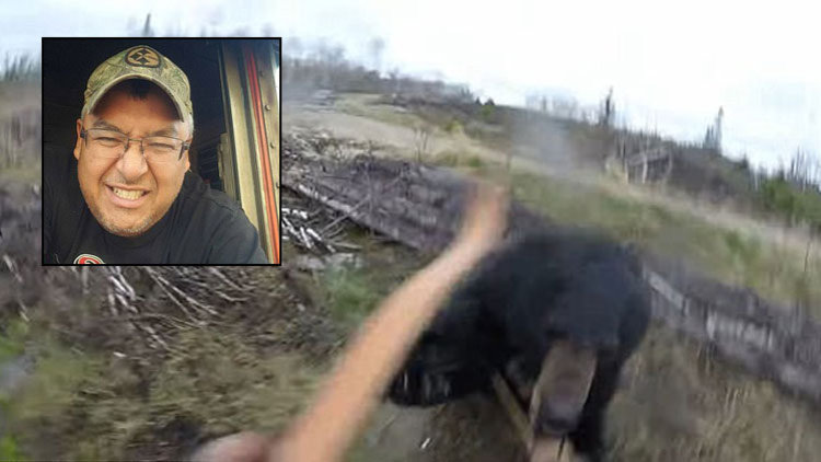 Ayı böyle saldırdı