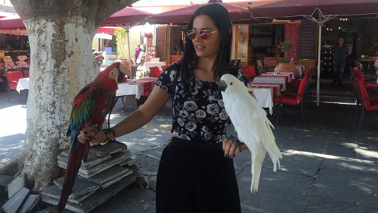 Fatmagül Tatilde 11. Bölüm