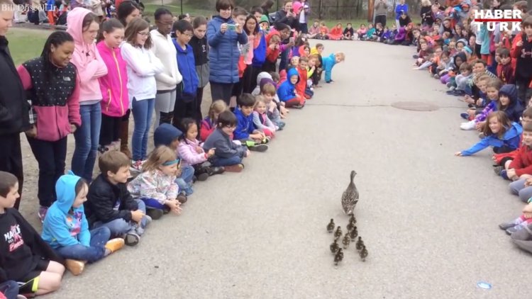 Dünyanın en tatlı okul geleneği