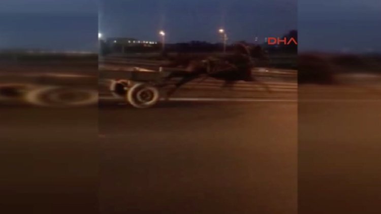 D-100 sol şeritte son sürat bir at arabası...