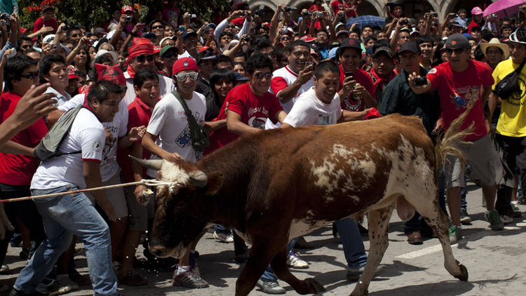 Kızgın boğalar 12 kişiyi yaraladı
