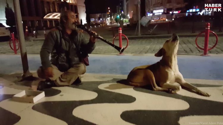 Klarnetin Sesiyle Efkarlanan Köpek