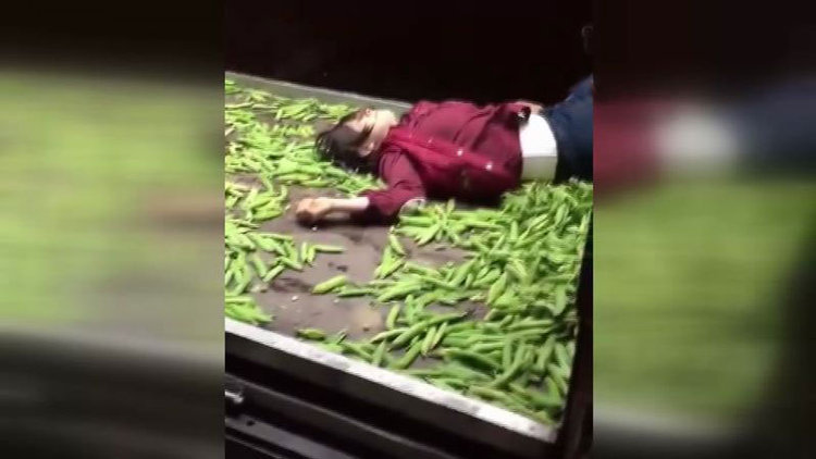 Zabıta seyyar satıcı kadını bayılttı