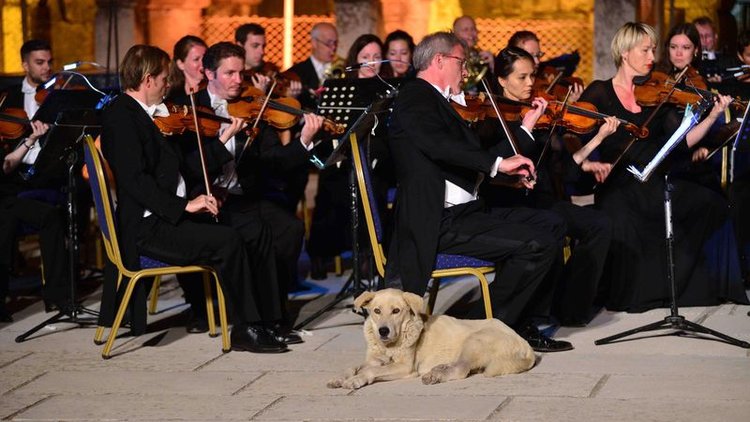 Bir anda sahneye çıktı