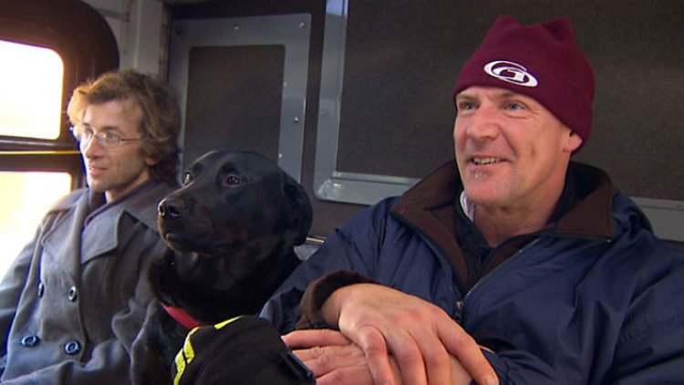 Parka otobüsle giden köpek