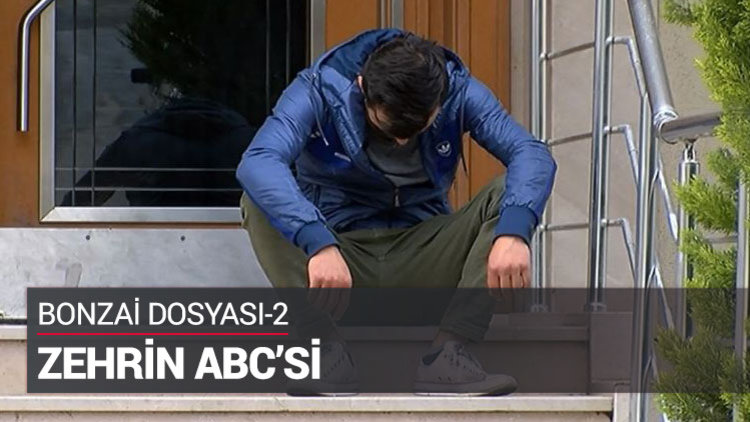 &#039;Bonzai&#039;nin ABC&#039;si