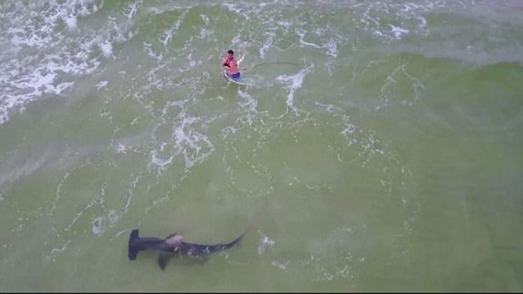 Köpek balığıyla savaş verdi 