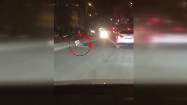 Genç kızı yolun ortasında dövdüler