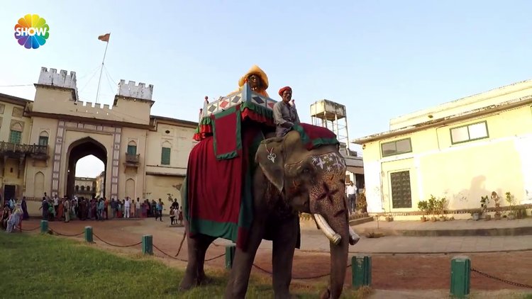 "Filin acaba ayakları titredi mi biraz ağırlıktan"