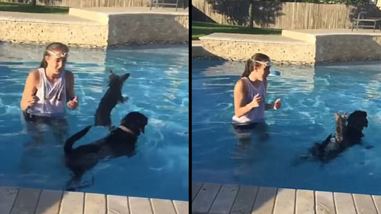 Bir anda sırtına atladı