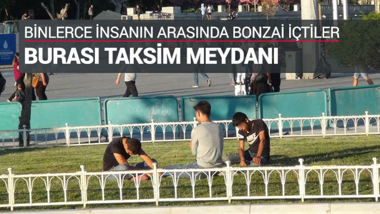 Taksim&#039;in göbeğinde bonzai içtiler