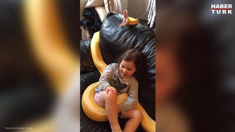 Küçük kız yılana sarılarak televizyon izledi!