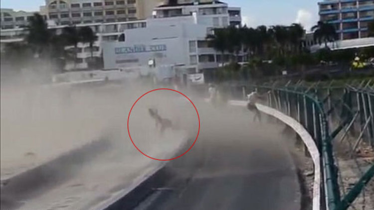 Adrenalinin dozu kaçtı