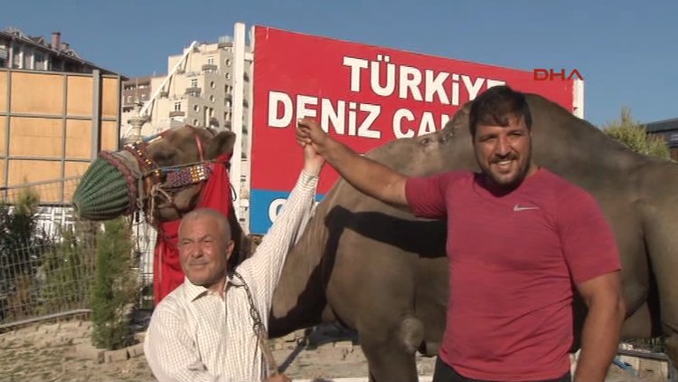 Kırkıpar Başpehlivanlarından Recep Kara'ya deve hediye edildi