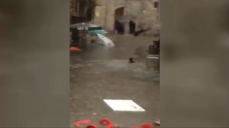 Sel sularında yüzdü