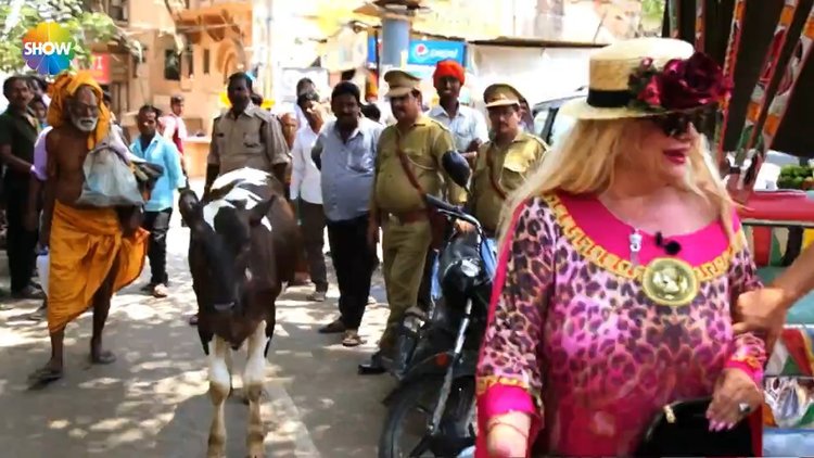 Banu Alkan ve Safiye Soyman Hindistan sokaklarında inekten korktu