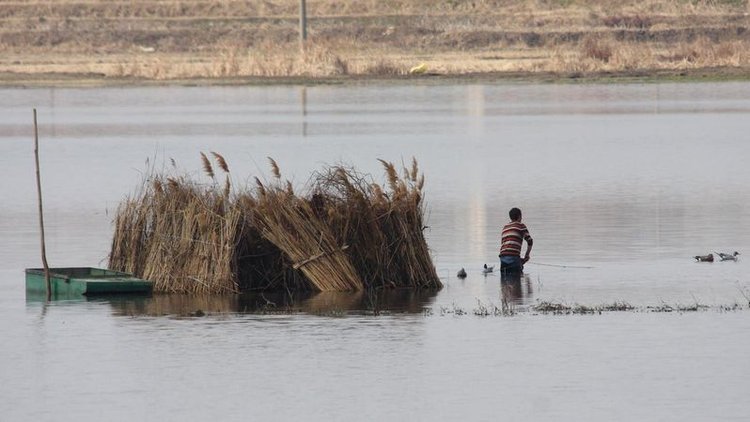 "Gölde canavar var" iddiası