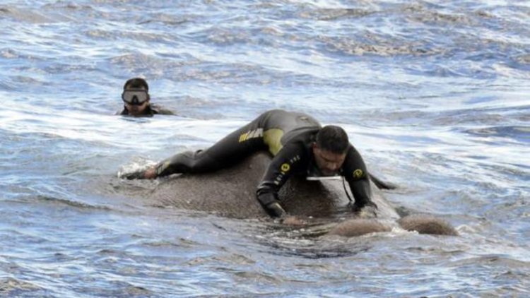 5 saatlik kurtarma operasyonu