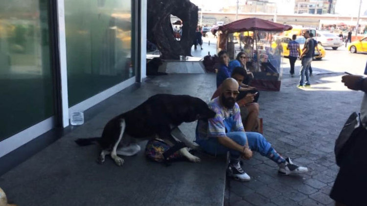 Taksim'de çantasını köpeğe kaptırdı