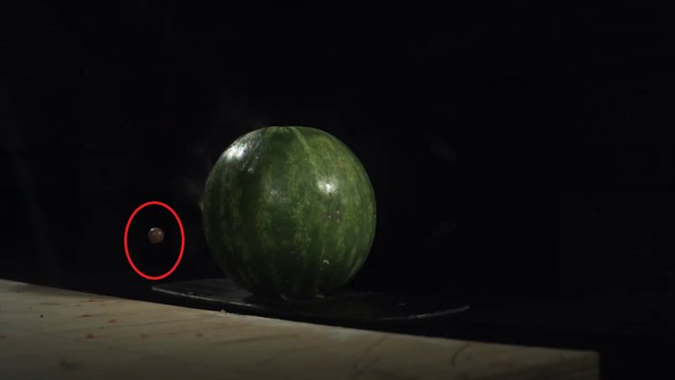 Bir çikolata karpuza ne kadar zarar verebilir?