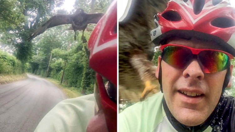 Bisikletçinin şahinle imtihanı