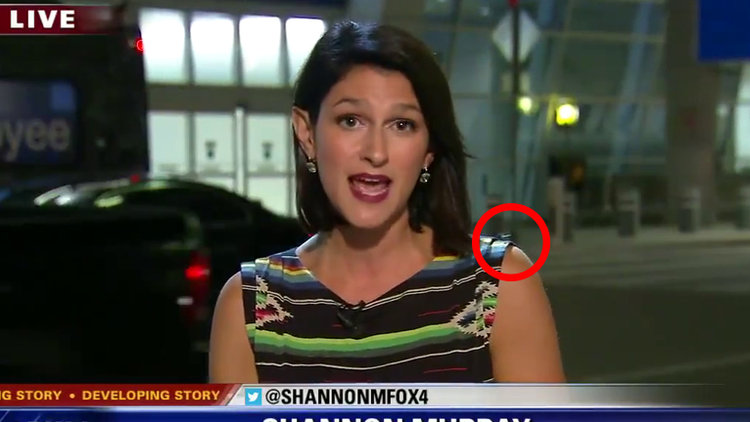 Örümcek üzerinde gezerken haber sundu