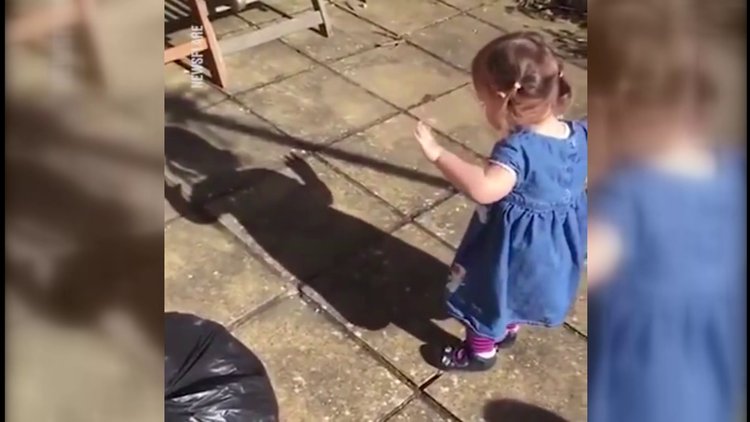 Kendi gölgesini görünce kafası karıştı!