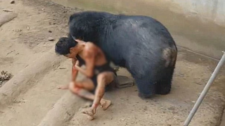 Aç ayının saldırısına uğradı